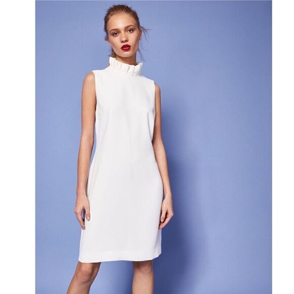 Ted Backer London Miyah Dramatic Ruffle Neck Dress - Picture 11 of 11